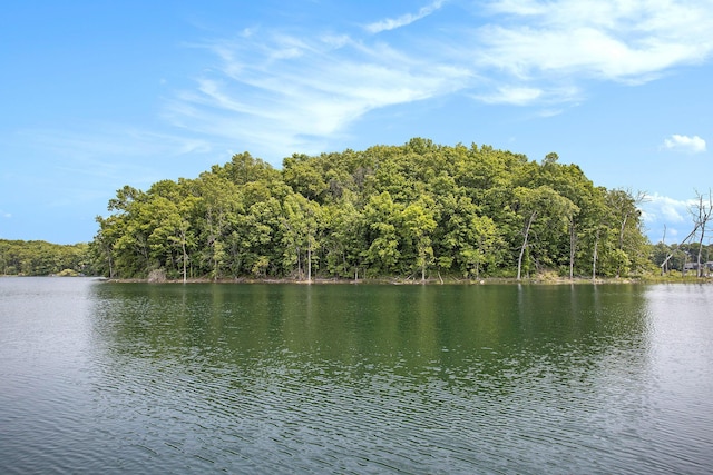 VL County Road 354, Lawton, MI 49065 - photo 3