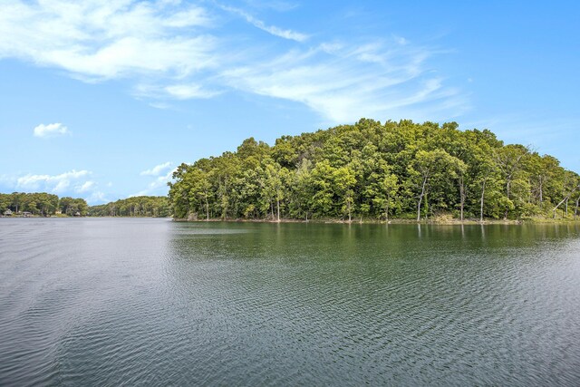 VL County Road 354, Lawton, MI 49065 - photo 6