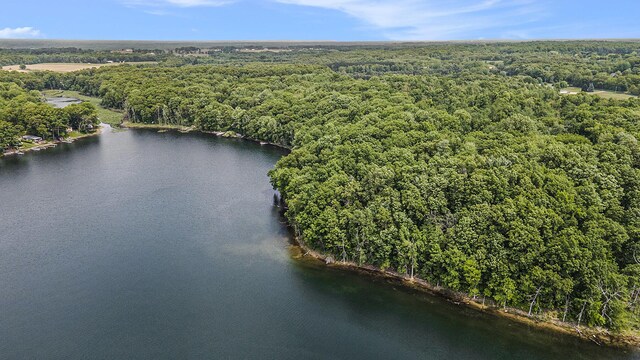 VL County Road 354, Lawton, MI 49065 - photo 8