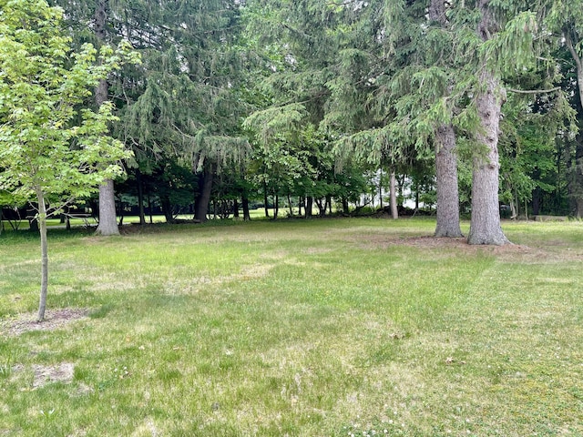 TBD W S St, Greenville, MI 48838