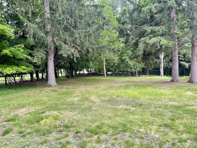 TBD W S St, Greenville, MI 48838