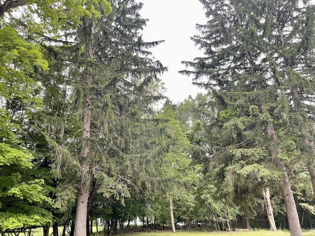 TBD W S St, Greenville, MI 48838