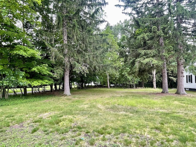 TBD W S St, Greenville, MI 48838