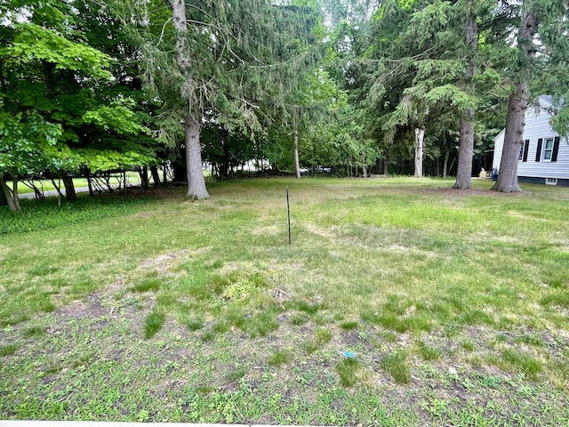 TBD W S St, Greenville, MI 48838