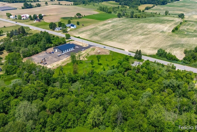 V/L 142nd Ave, Dorr, MI 49323