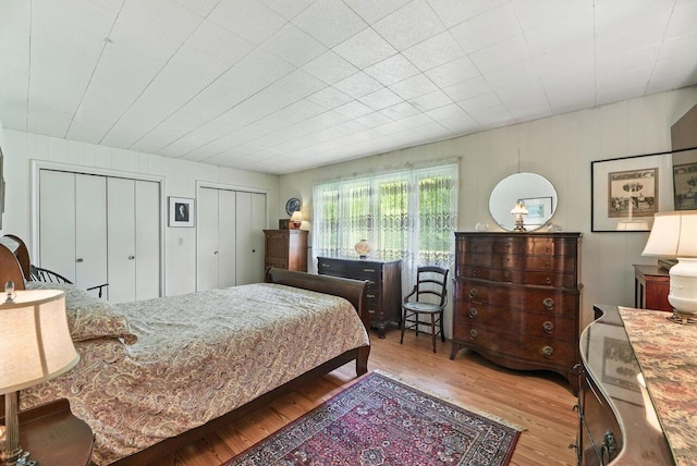 8454 Stickles Rd, Three Oaks, MI 49128 - bedroom featuring wood finished floors and multiple closets