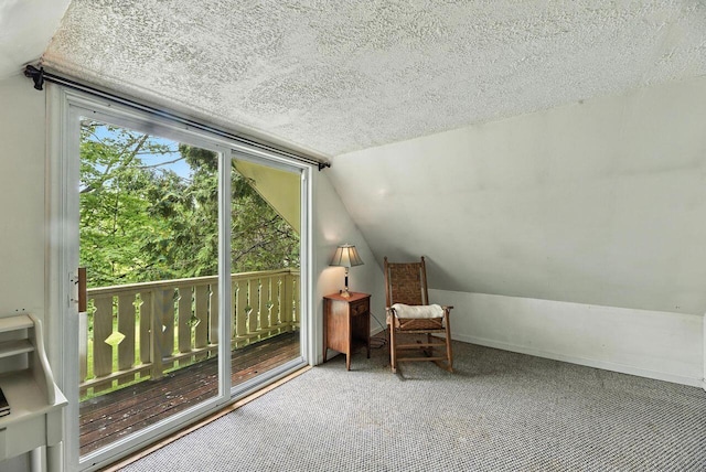 8454 Stickles Rd, Three Oaks, MI 49128 - living area featuring a textured ceiling, vaulted ceiling, and carpet