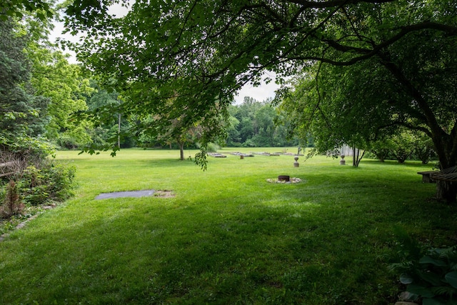 8454 Stickles Rd, Three Oaks, MI 49128 - view of grassy yard