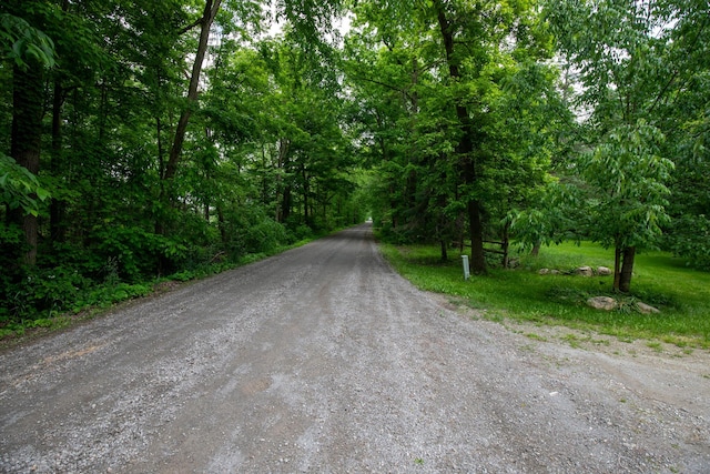 8454 Stickles Rd, Three Oaks, MI 49128 - view of dirt / gravel road featuring a wooded view