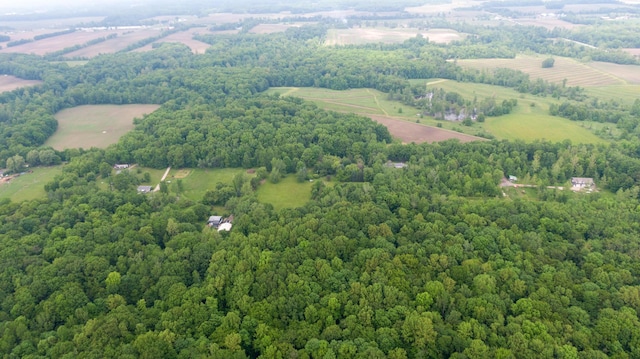 8454 Stickles Rd, Three Oaks, MI 49128 - bird's eye view of a forest