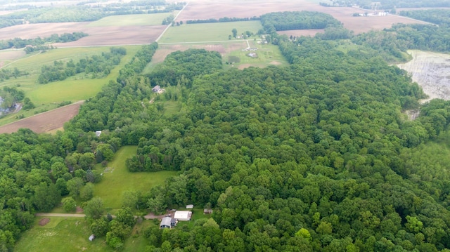 8454 Stickles Rd, Three Oaks, MI 49128 - aerial view of a forest