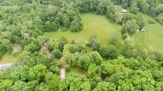 8454 Stickles Rd, Three Oaks, MI 49128 - drone / aerial view