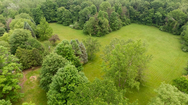 8454 Stickles Rd, Three Oaks, MI 49128 - drone / aerial view