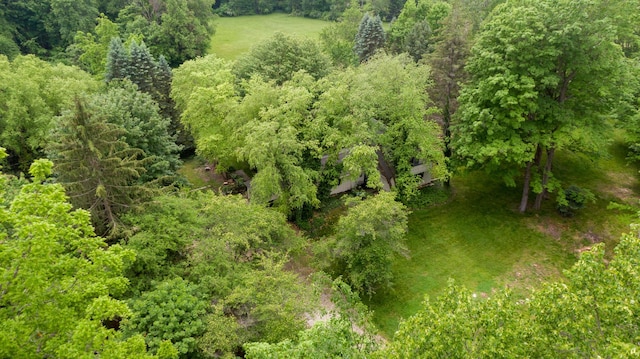 8454 Stickles Rd, Three Oaks, MI 49128 - aerial view of a heavily wooded area