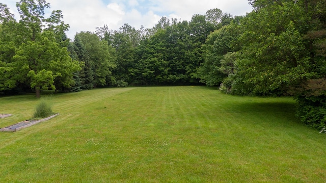 8454 Stickles Rd, Three Oaks, MI 49128 - view of green lawn