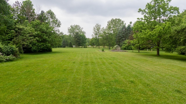 8454 Stickles Rd, Three Oaks, MI 49128 - view of grassy yard