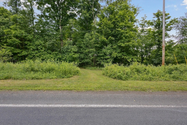 VL Douglas Ave, Plainwell, MI 49080