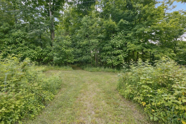 VL Douglas Ave, Plainwell, MI 49080