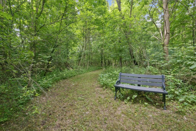 VL Douglas Ave, Plainwell, MI 49080