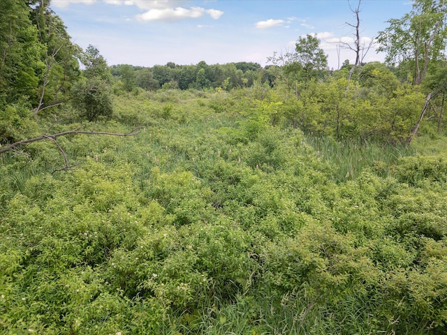 VL Douglas Ave, Plainwell, MI 49080