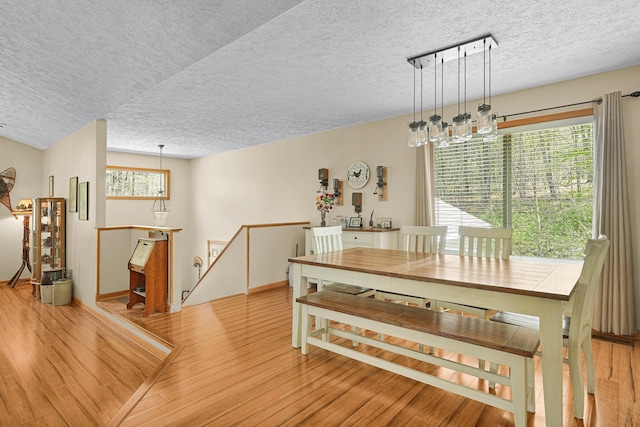 4792 Forest Vale Dr, Pierson, MI 49339 - dining area featuring light wood finished floors, healthy amount of natural light, and a textured ceiling