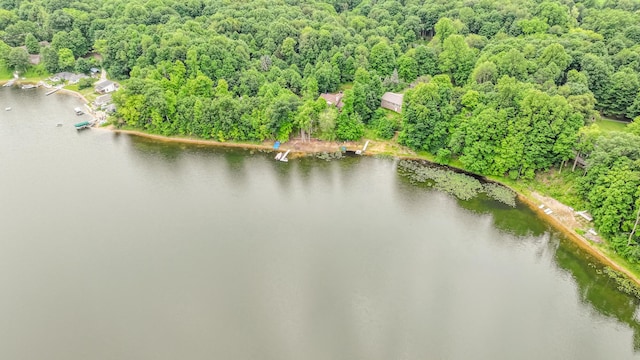 0 Dutch Settlement St, Vandalia, MI 49095 - photo 10