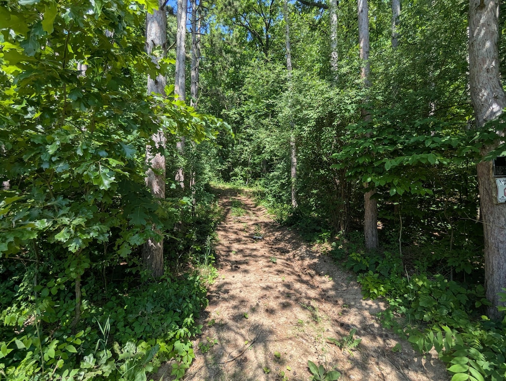 V/L N Ave, Bellevue, MI 49021 - photo 1