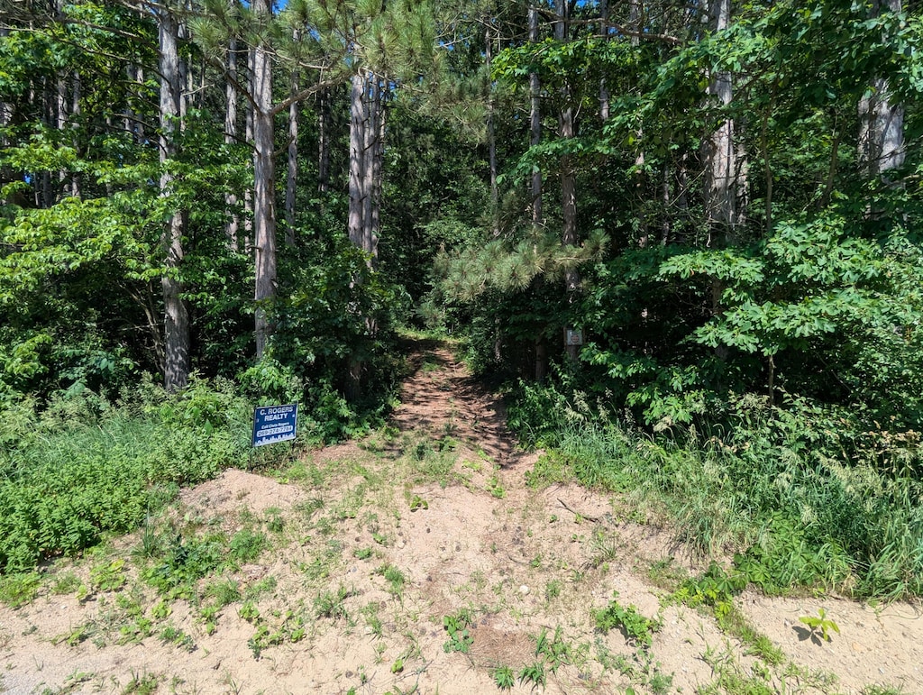 V/L N Ave, Bellevue, MI 49021 - photo 2
