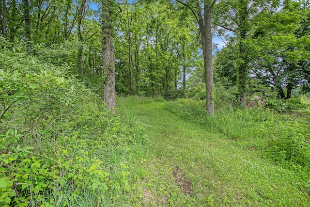 J Dr N, Marshall, MI 49068