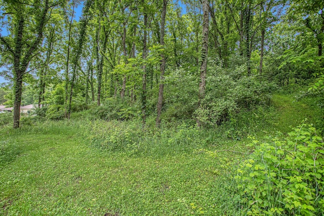 J Dr N, Marshall, MI 49068