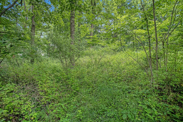 J Dr N, Marshall, MI 49068