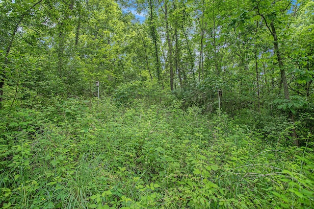 J Dr N, Marshall, MI 49068
