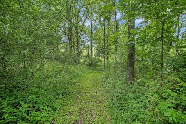 J Dr N, Marshall, MI 49068