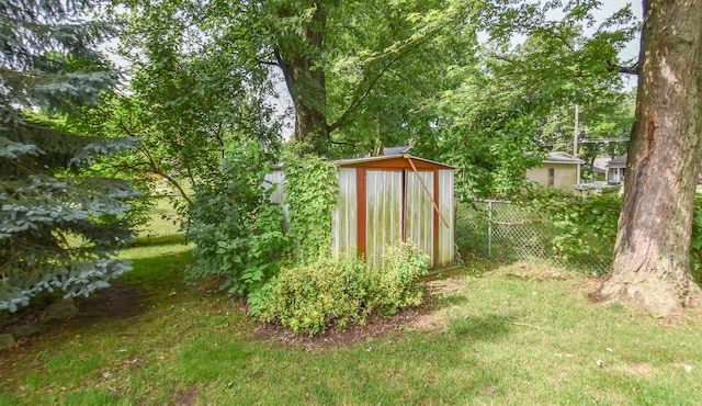 72 Branch Ave, Coldwater, MI 49036 - view of yard featuring a storage shed