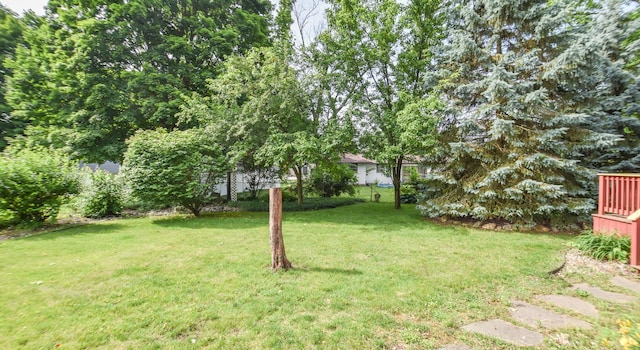 72 Branch Ave, Coldwater, MI 49036 - view of grassy yard