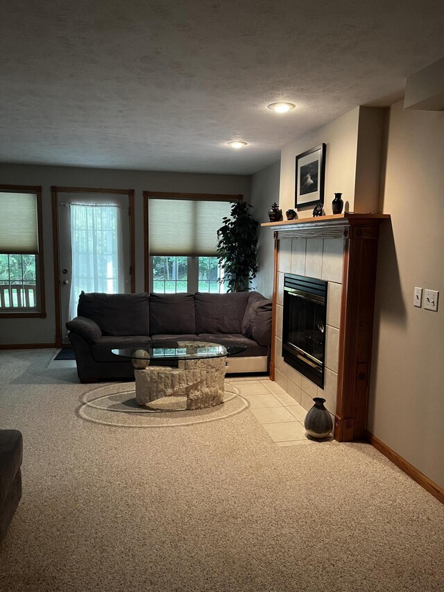 6755 Beechwood Dr, Saranac, MI 48881 - photo 26