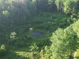 3607 Bawkey Rd W, Farwell, MI 48622
