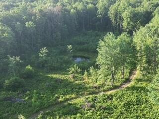 3607 Bawkey Rd W, Farwell, MI 48622