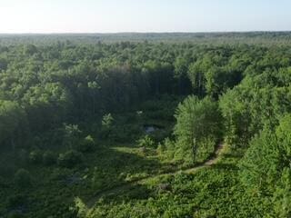3607 Bawkey Rd W, Farwell, MI 48622