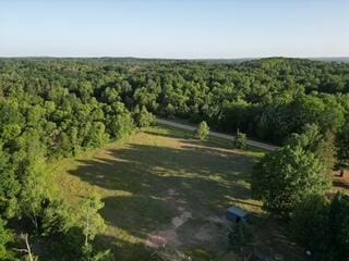 3607 Bawkey Rd W, Farwell, MI 48622