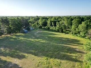 3607 Bawkey Rd W, Farwell, MI 48622