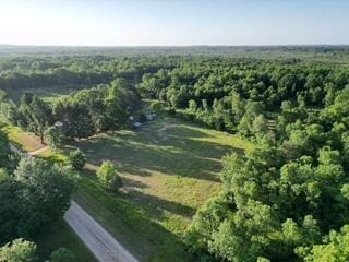 3607 Bawkey Rd W, Farwell, MI 48622
