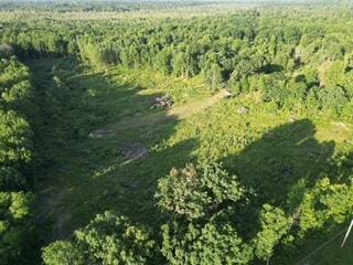 3607 Bawkey Rd W, Farwell, MI 48622
