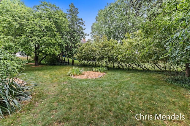 504 Colfax Ave, Grand Haven, MI 49417 - view of green lawn