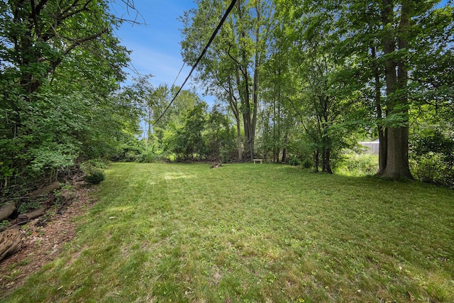 1836 W Argus Ct, Jackson, MI 49203 - view of grassy yard
