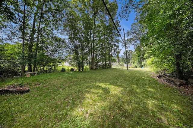 1836 W Argus Ct, Jackson, MI 49203 - view of green lawn