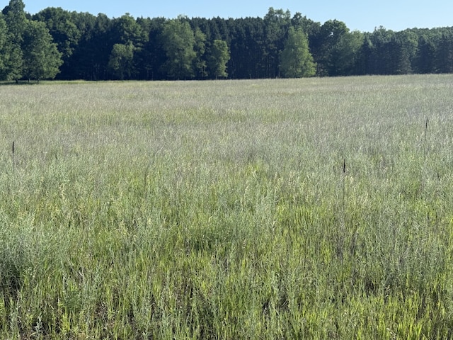12828 Buchanan Rd, Stanwood, MI 49346