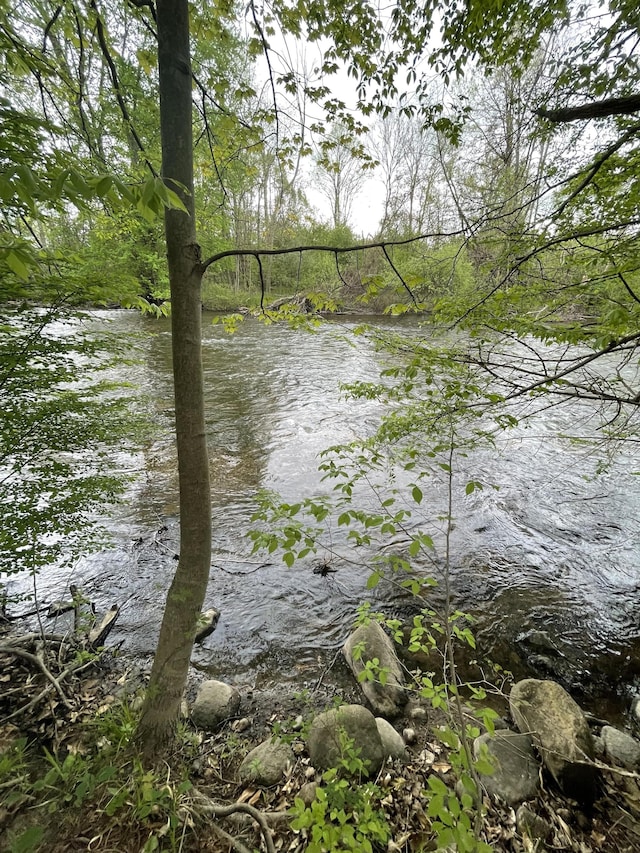 S Branch Ln Unit 5, Hesperia, MI 49421