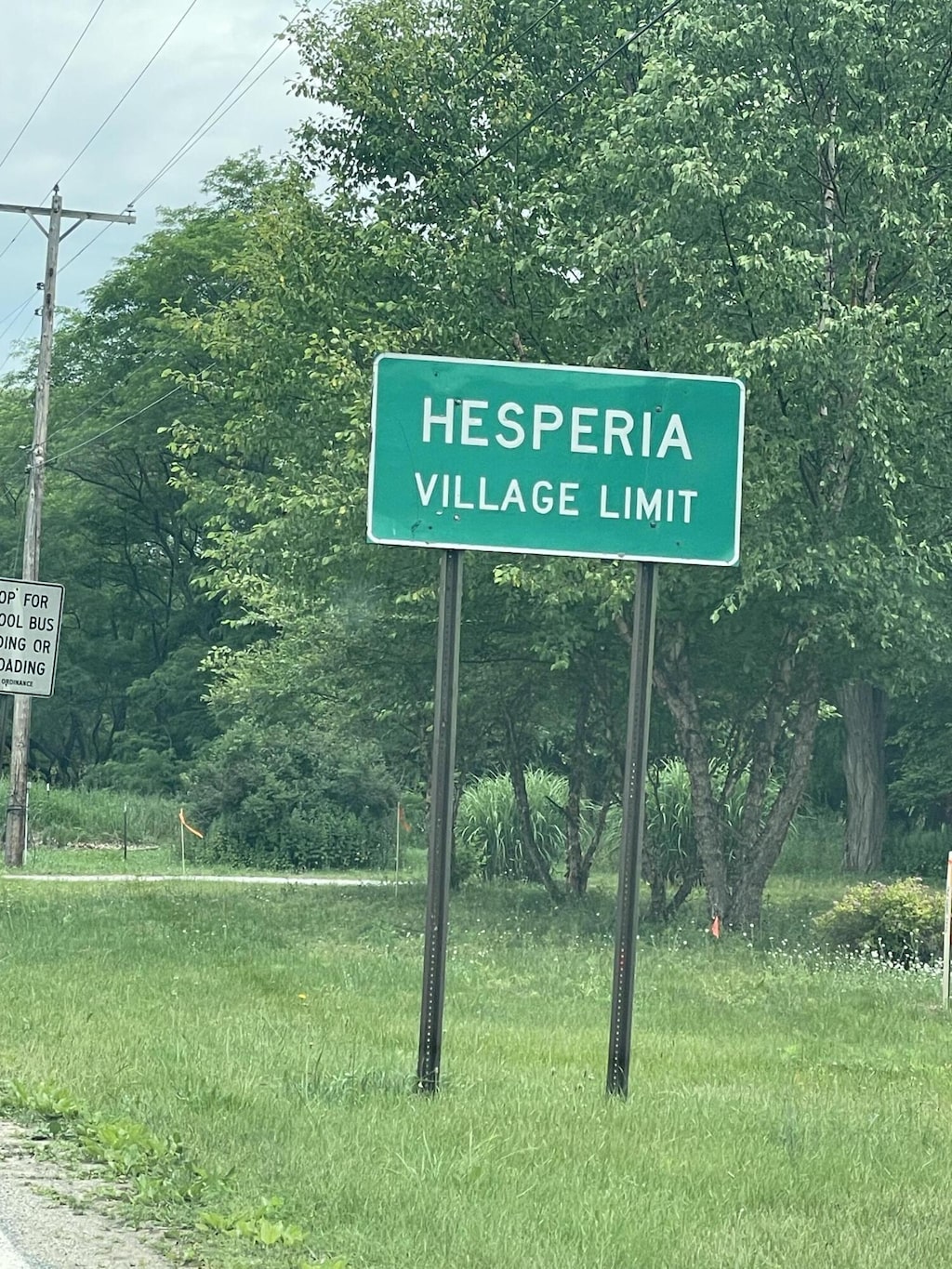 S Branch Ln Unit 5, Hesperia, MI 49421