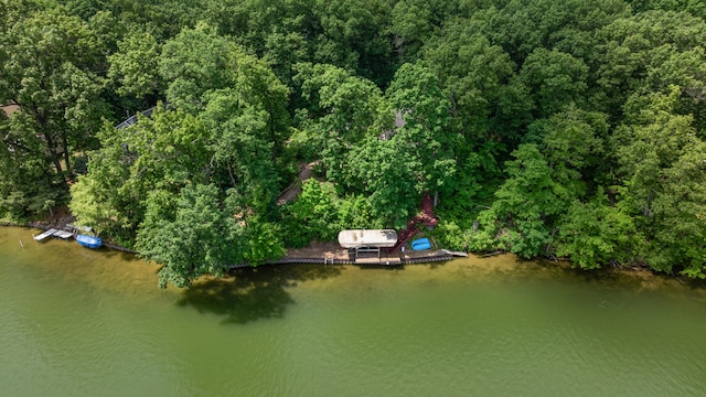 11478 Mackinac Path N, Jerome, MI 49249 - photo 8